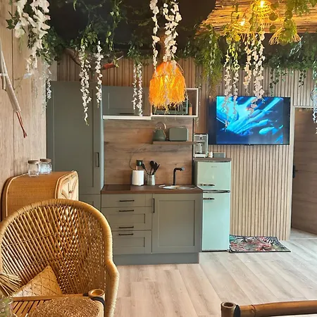 Appartement Aloha Biache-Saint-Vaast